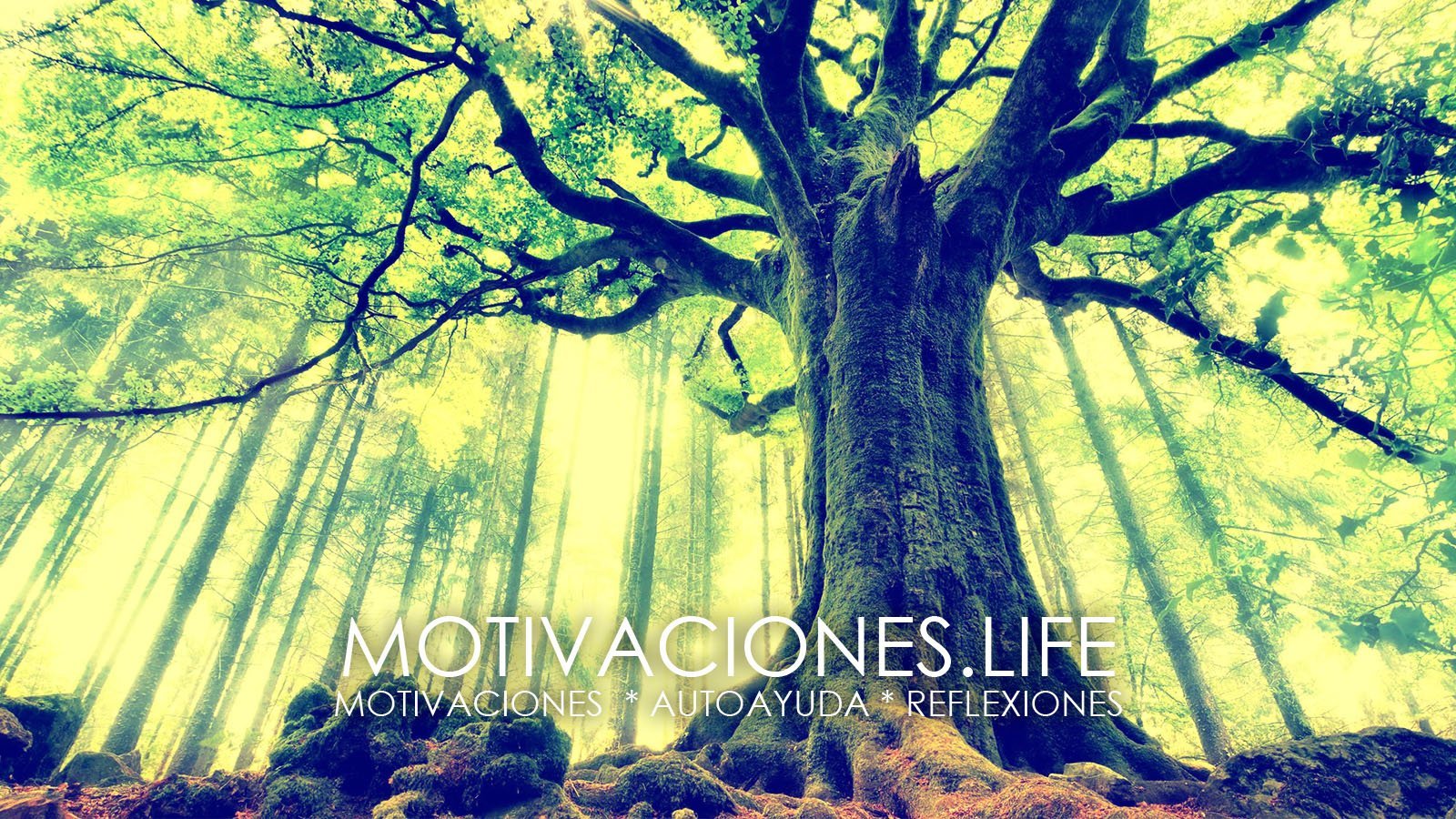 Tres pequeños arboles ⋆ Reflexión ⋆ Mariano Osorio ⋆ Motivaciones.life